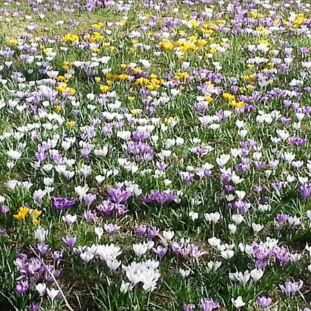 Oybiner Hof Hotel Kurort Oybin