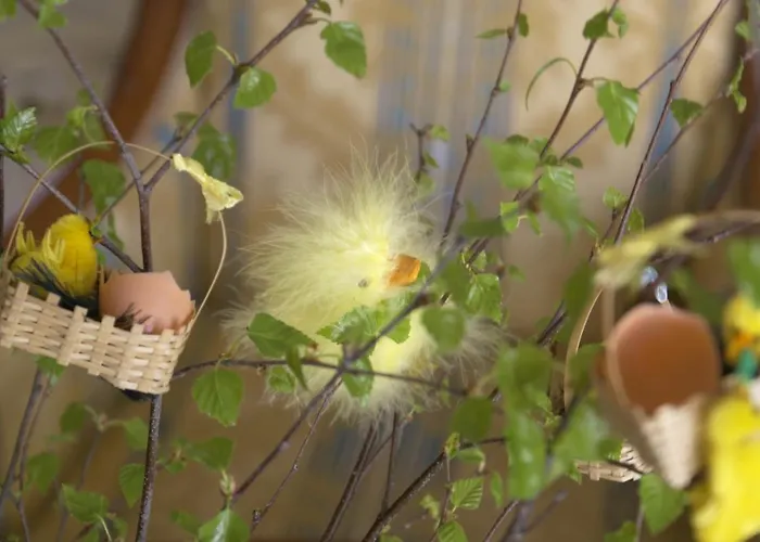 Oybiner Hof * كورورت أوبين