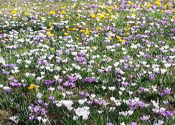 Oybiner Hof فندق كورورت أوبين